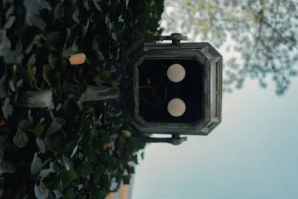 سبينتروبوليس كازينو تطبيق الهاتف المحمول